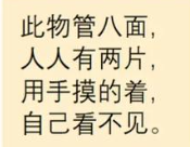 五月代理❀自动秒返主播图片