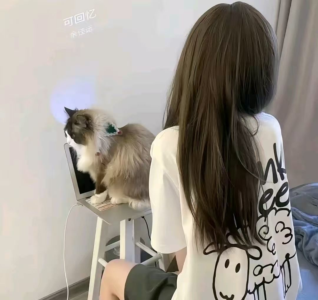 Ⱄᩚᐝ宠儿💖玻璃心的图片