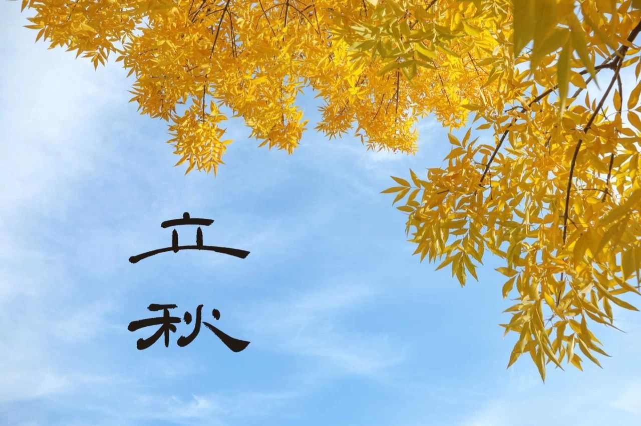 September★主播图片