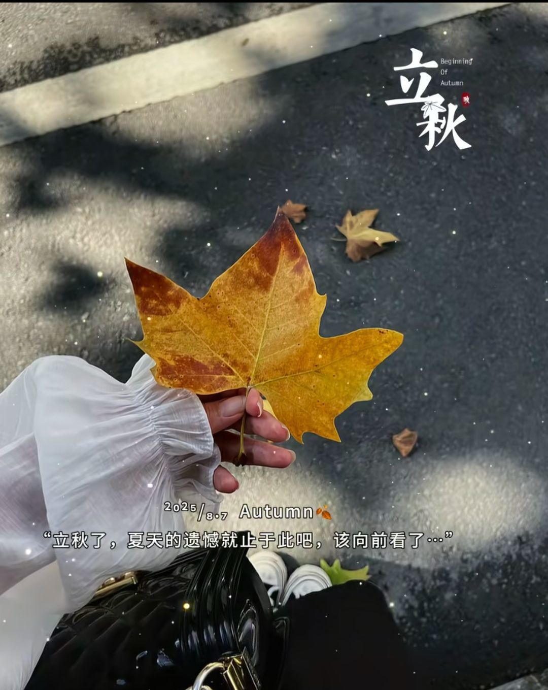 🦚没人在乎的雪儿的图片