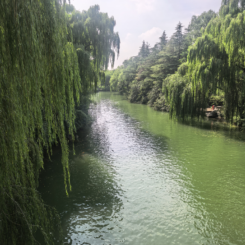 丁月隆海报