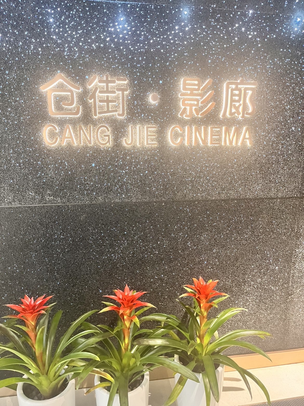 七克灵魂的图片
