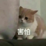 萌新宝宝hjjhf