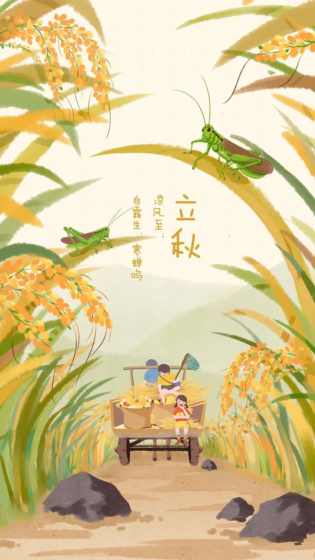 小芳，🌸减肥打卡的图片