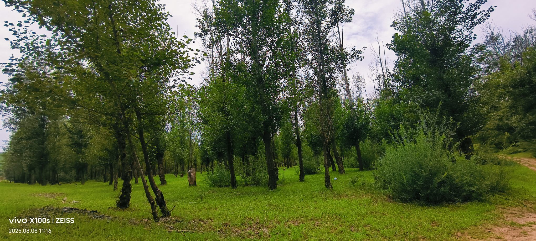 妞妞骑行宁夏银川的图片