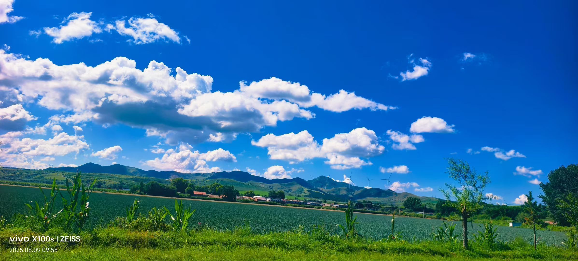 妞妞骑行宁夏银川的图片