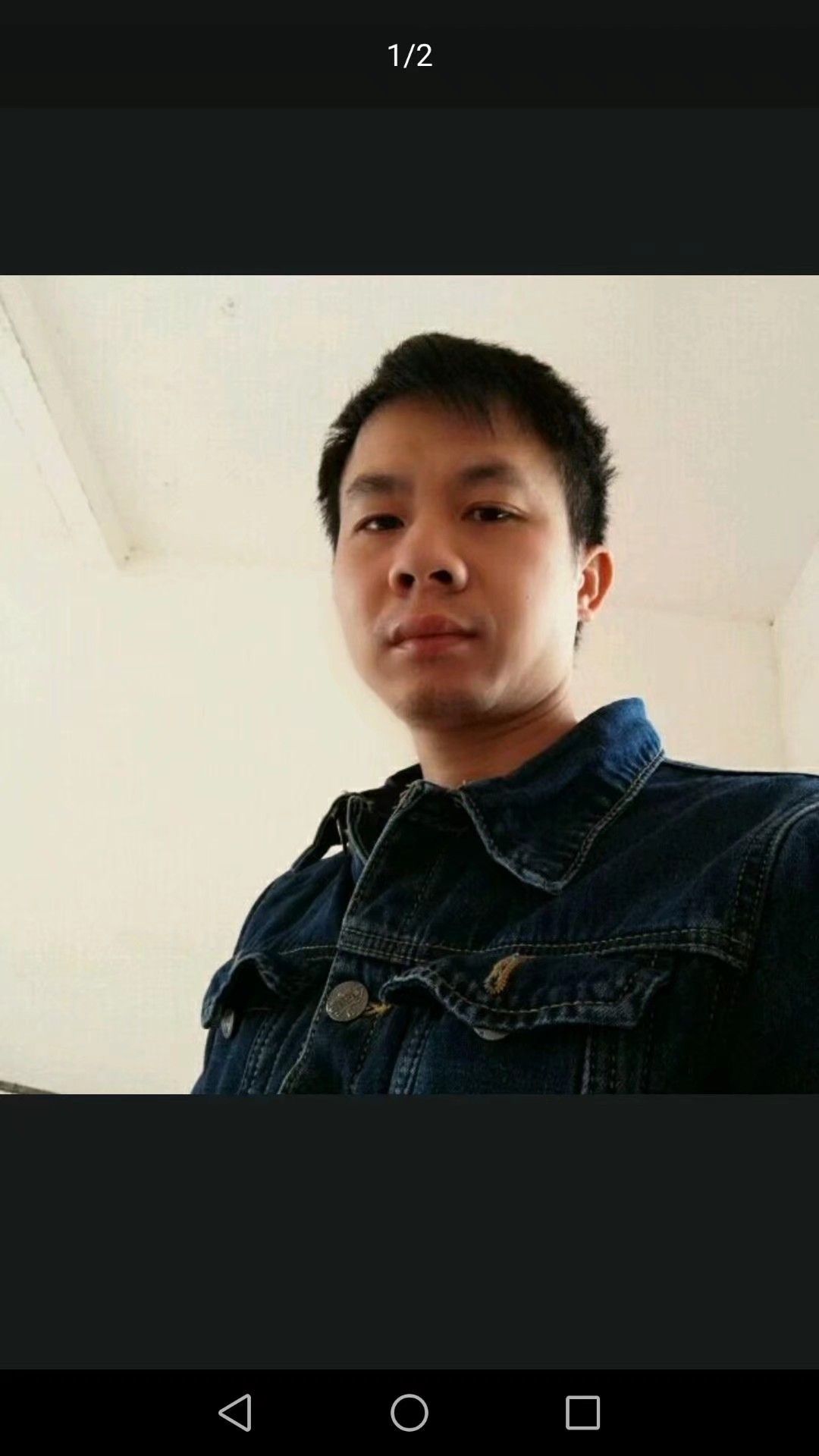 执着翼龙的图片