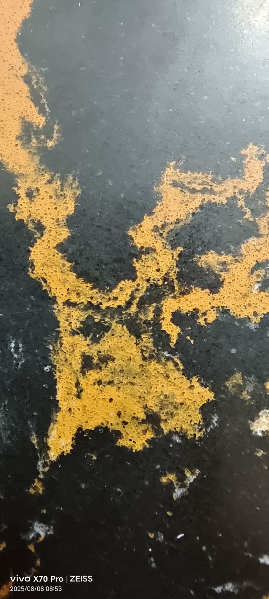 乘風(fēng)載浪一徐????主播圖片