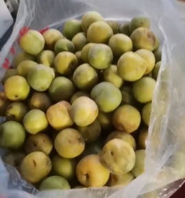 小白队长💧心里美☜主播照片