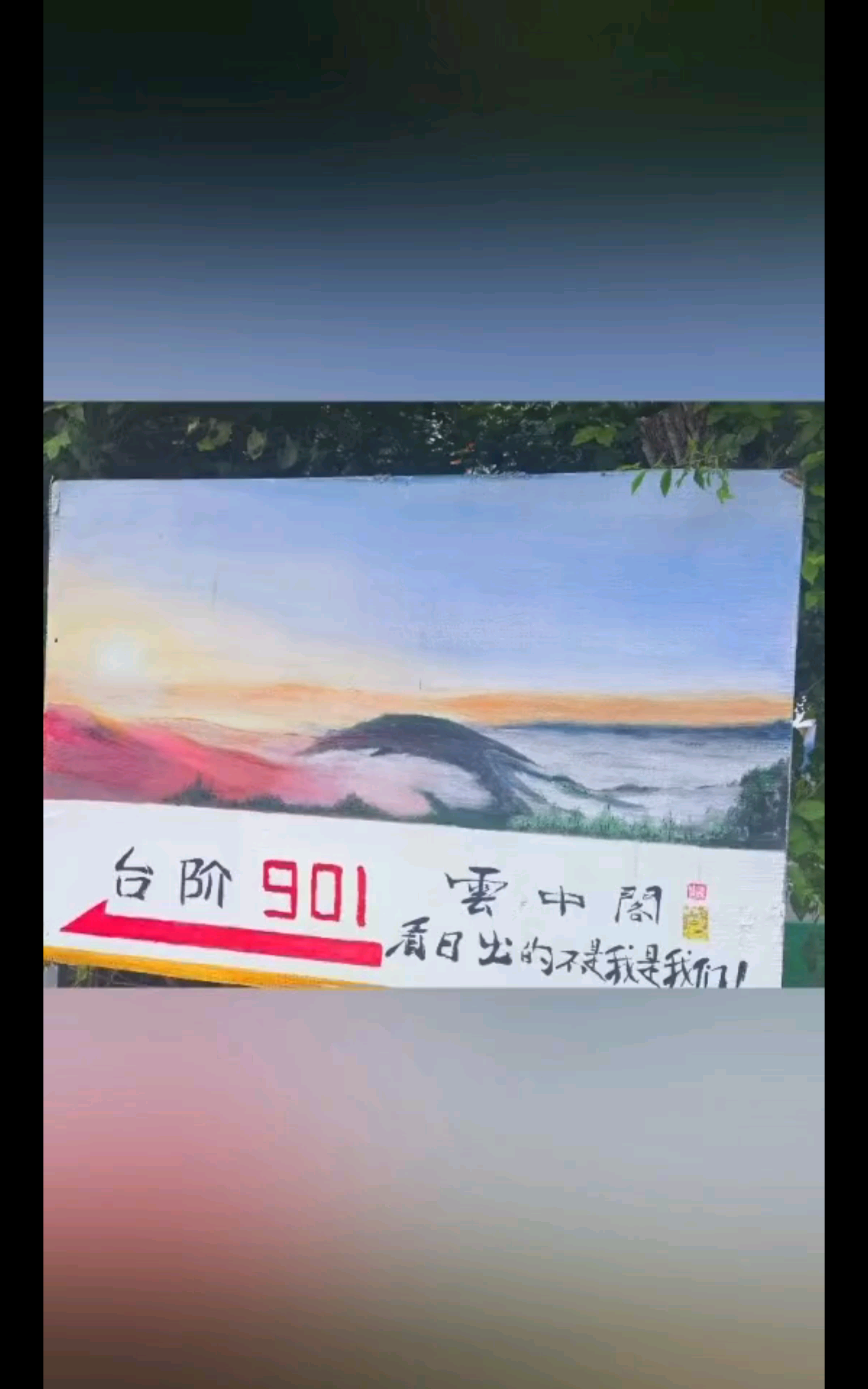 清晨四点起来为了看日