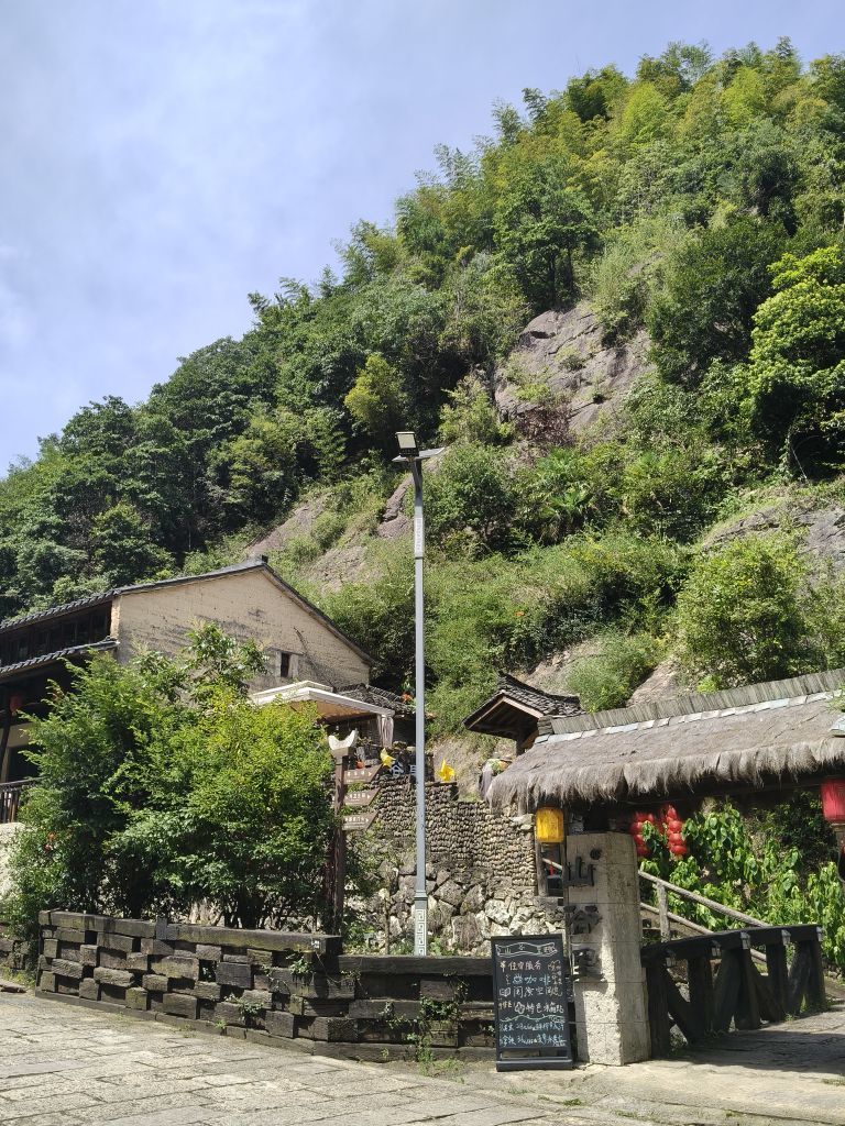 兰儿所遇皆幸运主播图片