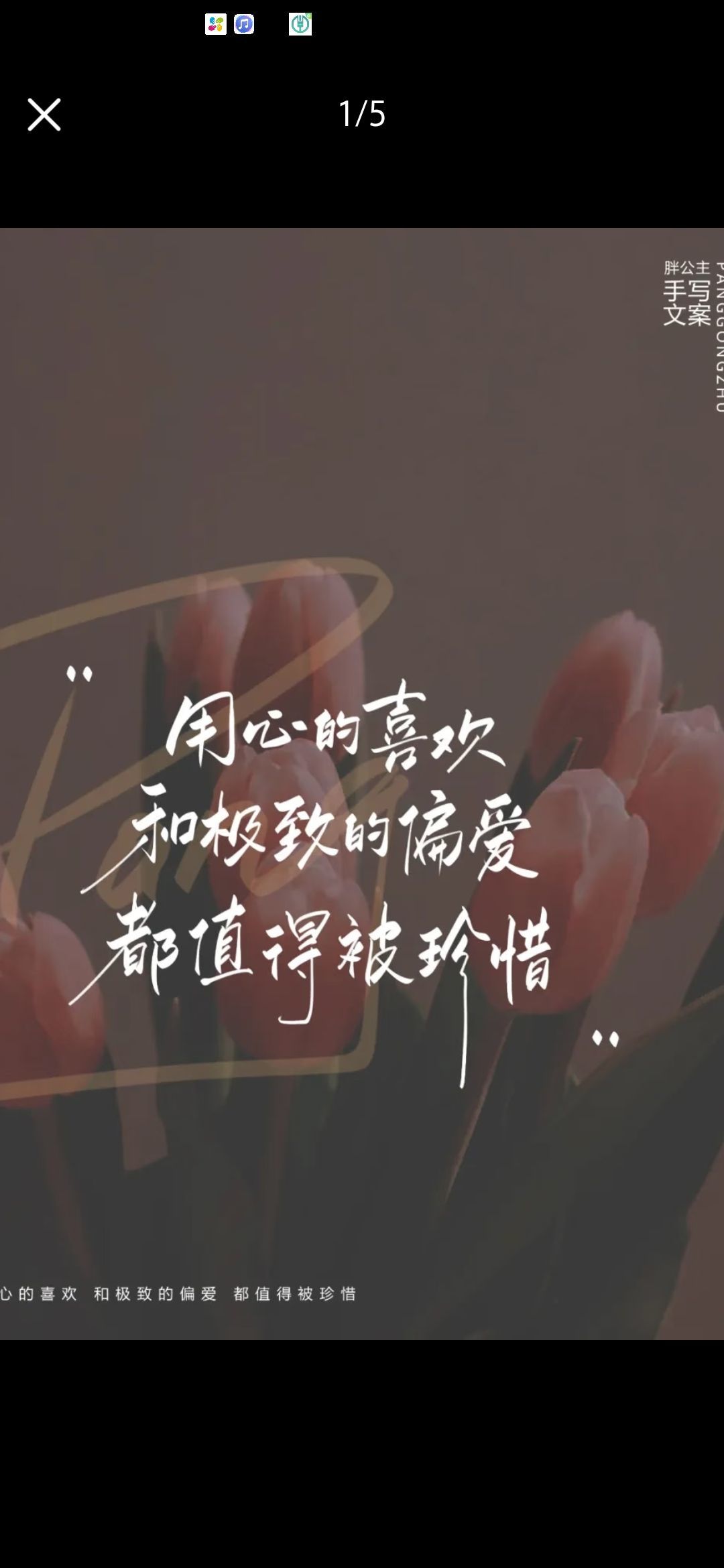 疯小鸭🍑愿有一束光主播图片