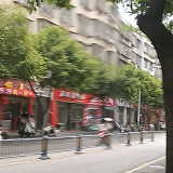 来自卡拉奇的三叶虫海报