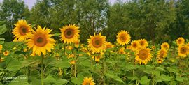 妞妞骑行宁夏银川主播照片