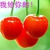 一万里g