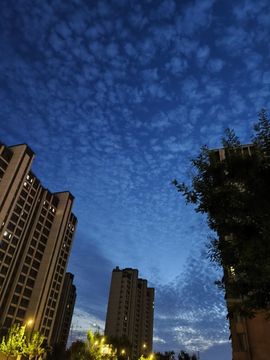 小梨u，一帆风顺的图片