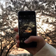小确幸你呀