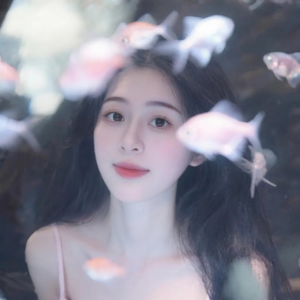 陈意礼🐋海报