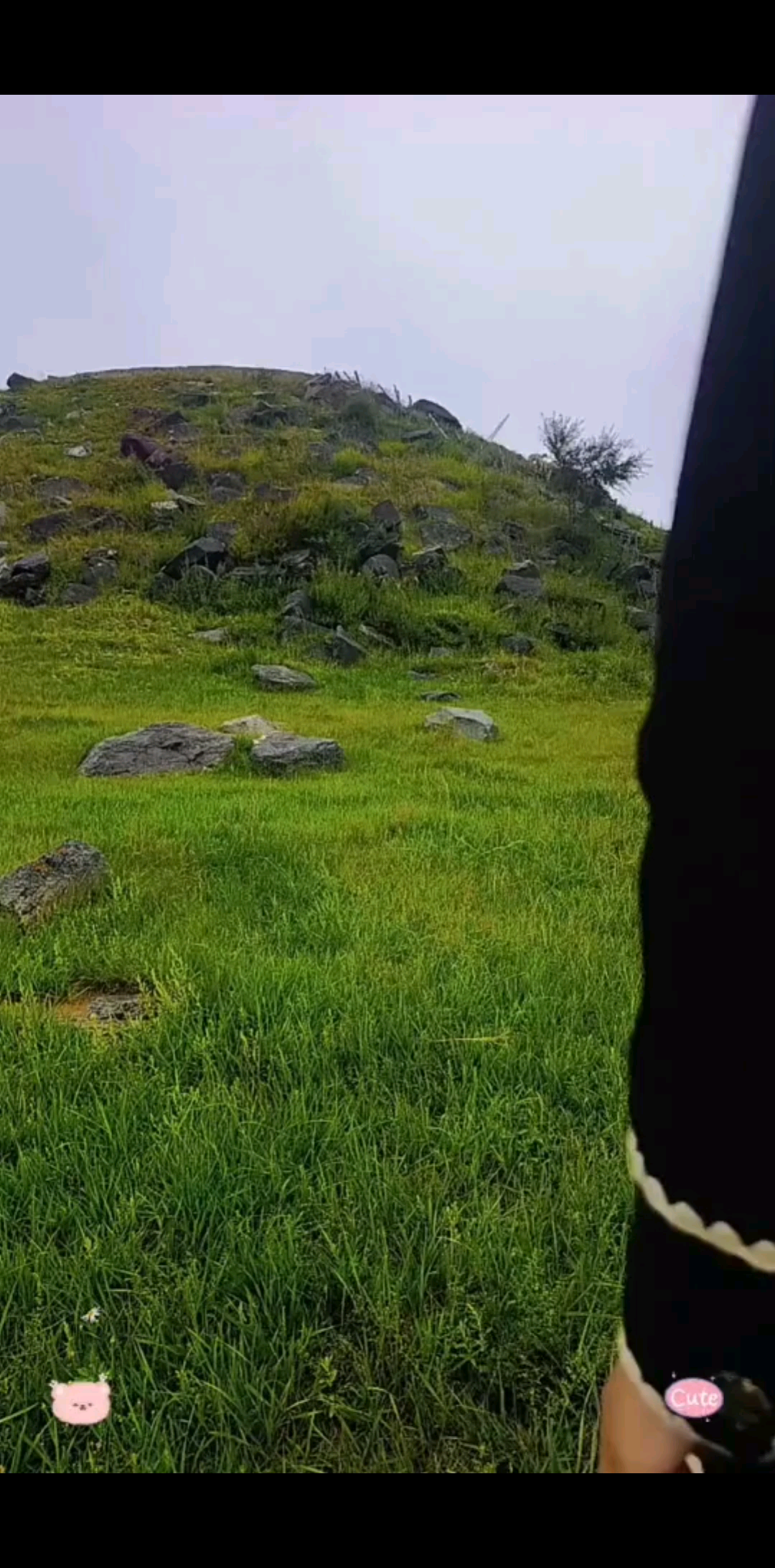 清晨的风轻轻吹过，带