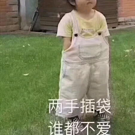 🌺🌺🌹🌺🌺海报