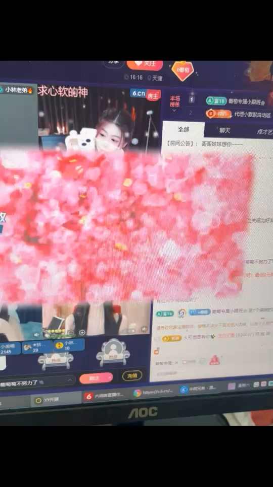 被宠的一天啦