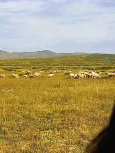 带着你们一起自由的飞