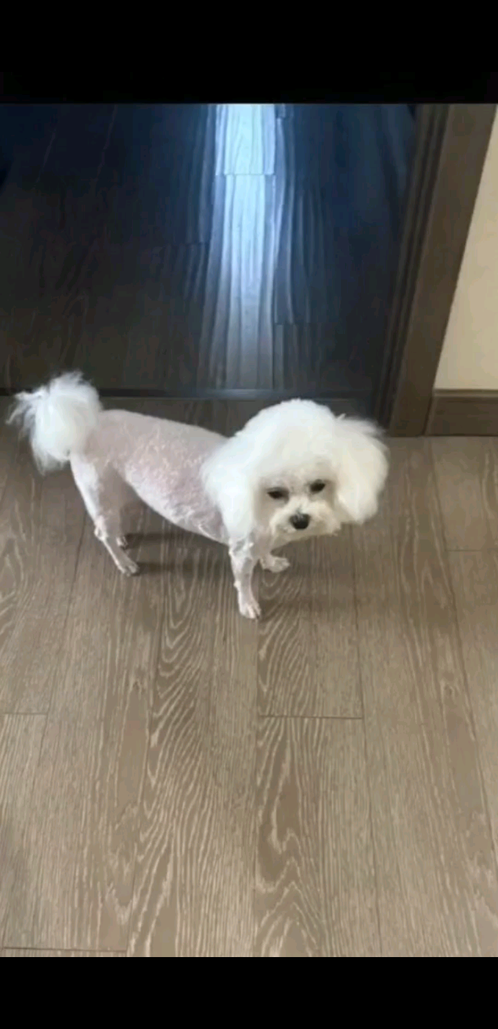 /窃笑/窃笑/窃笑