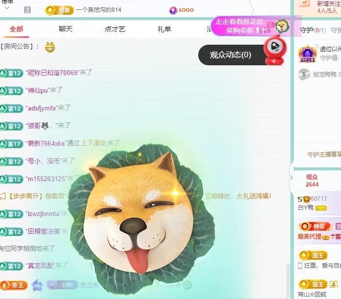 白Y鸭的图片
