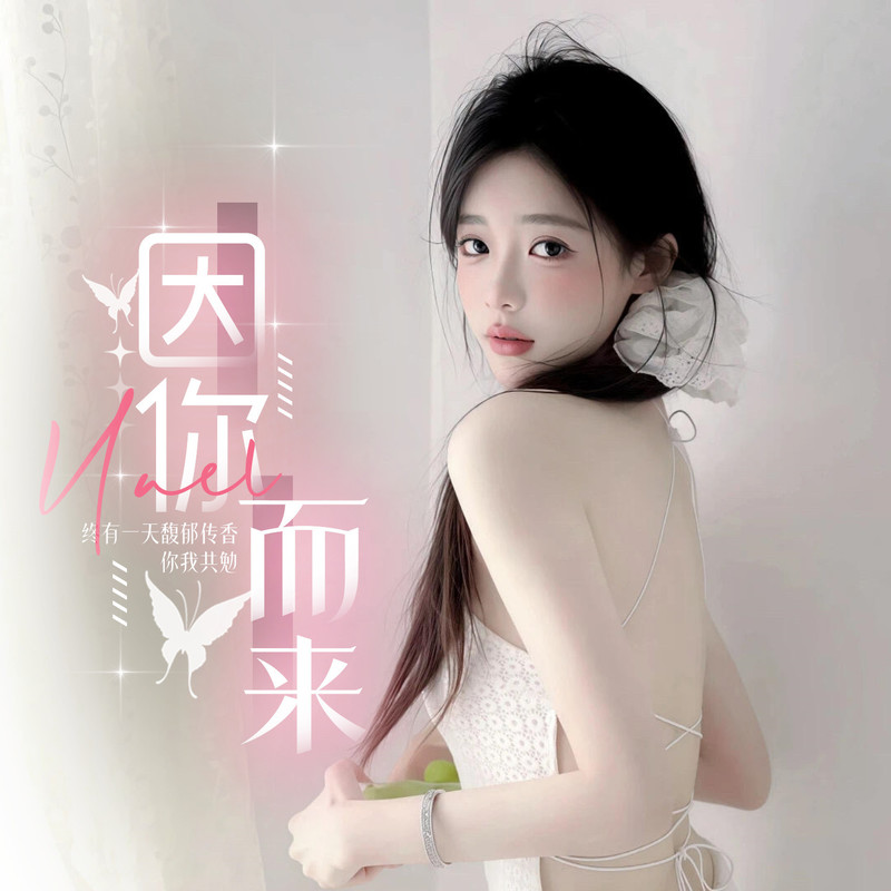 因你而来🦋海报