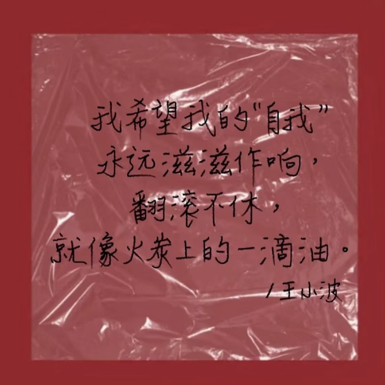 娜扎🧸的图片