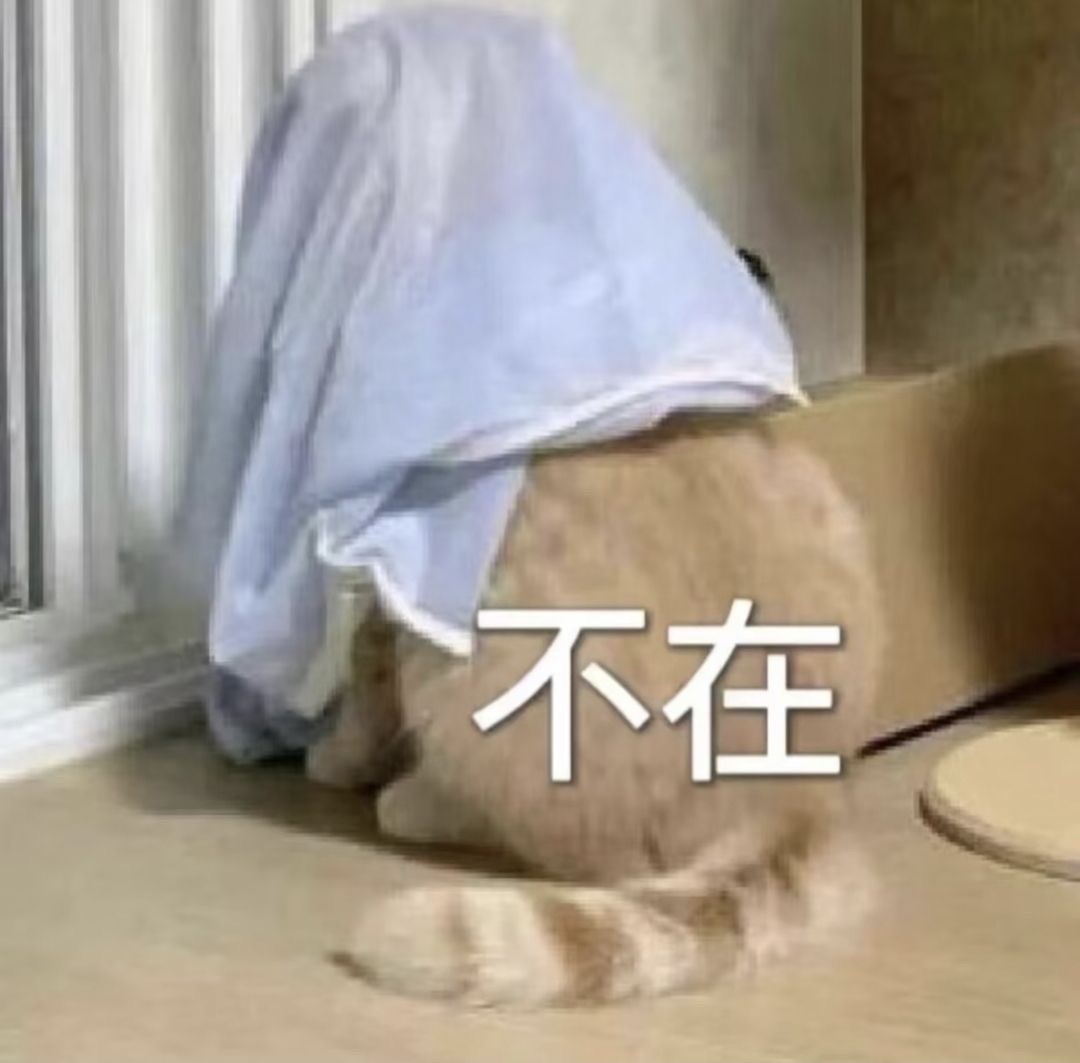 洁儿宝宝💗主播图片