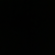 瞬間偶然