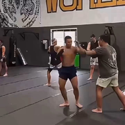 踏天王林海报