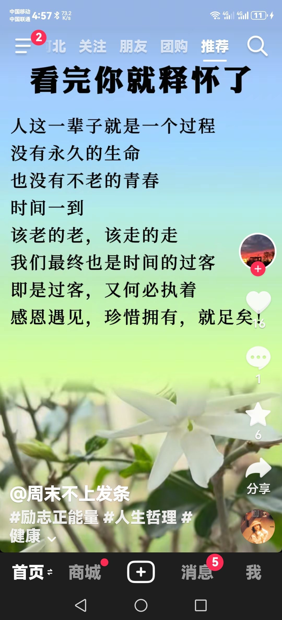 漫曼依然一鸣的图片