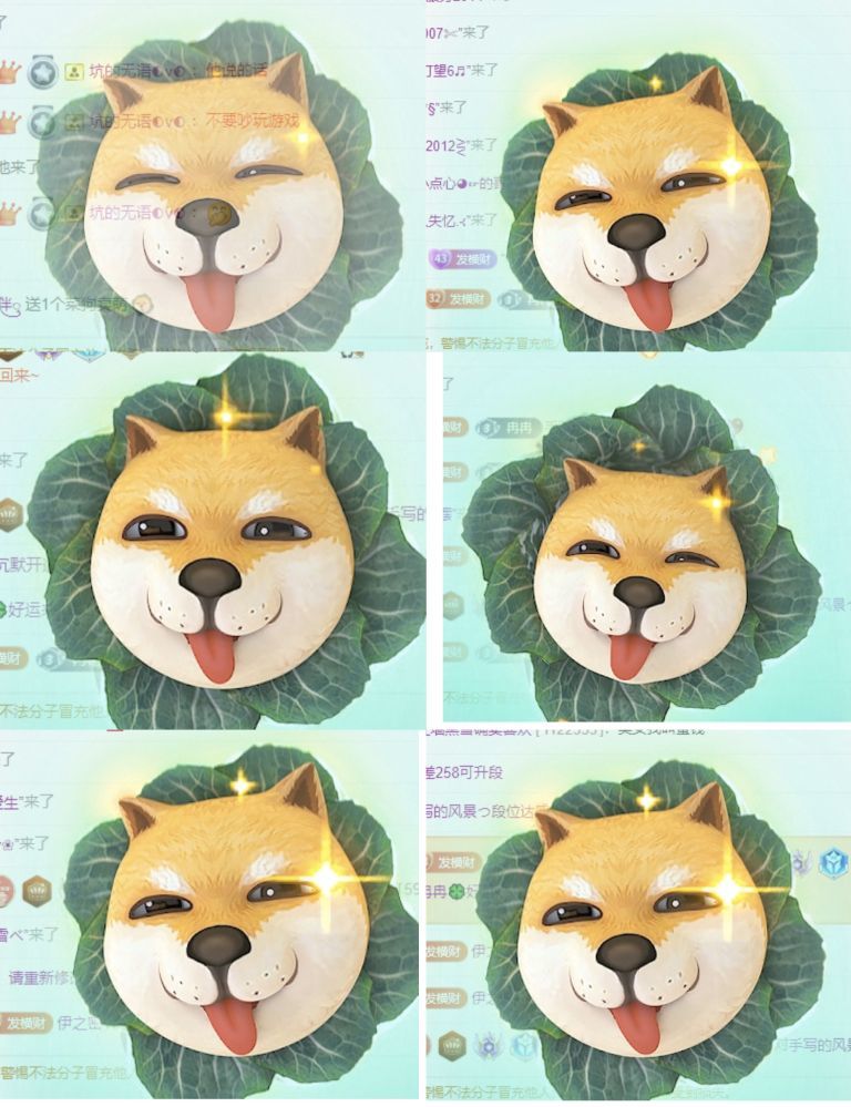 冉冉🍀好运来的图片