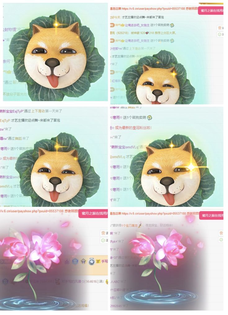 冉冉🍀好运来的图片