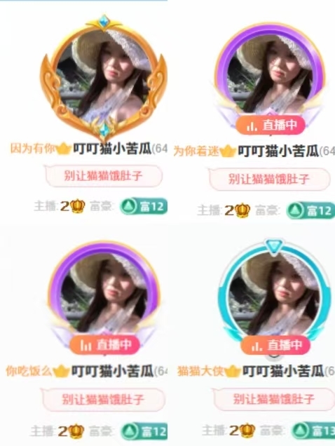 叮叮猫小苦瓜主播图片