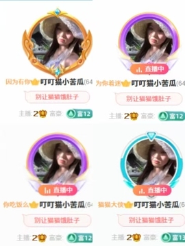 叮叮猫小苦瓜主播照片