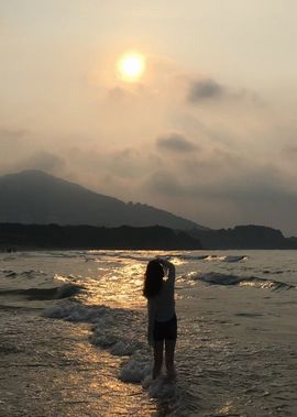 叮叮猫小苦瓜(休的图片