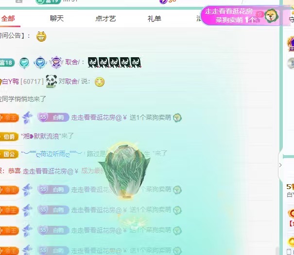 白Y鸭的图片