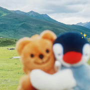 冷風吹冷雨