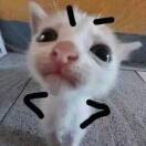 迎好运7