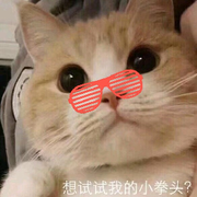 宿梦。