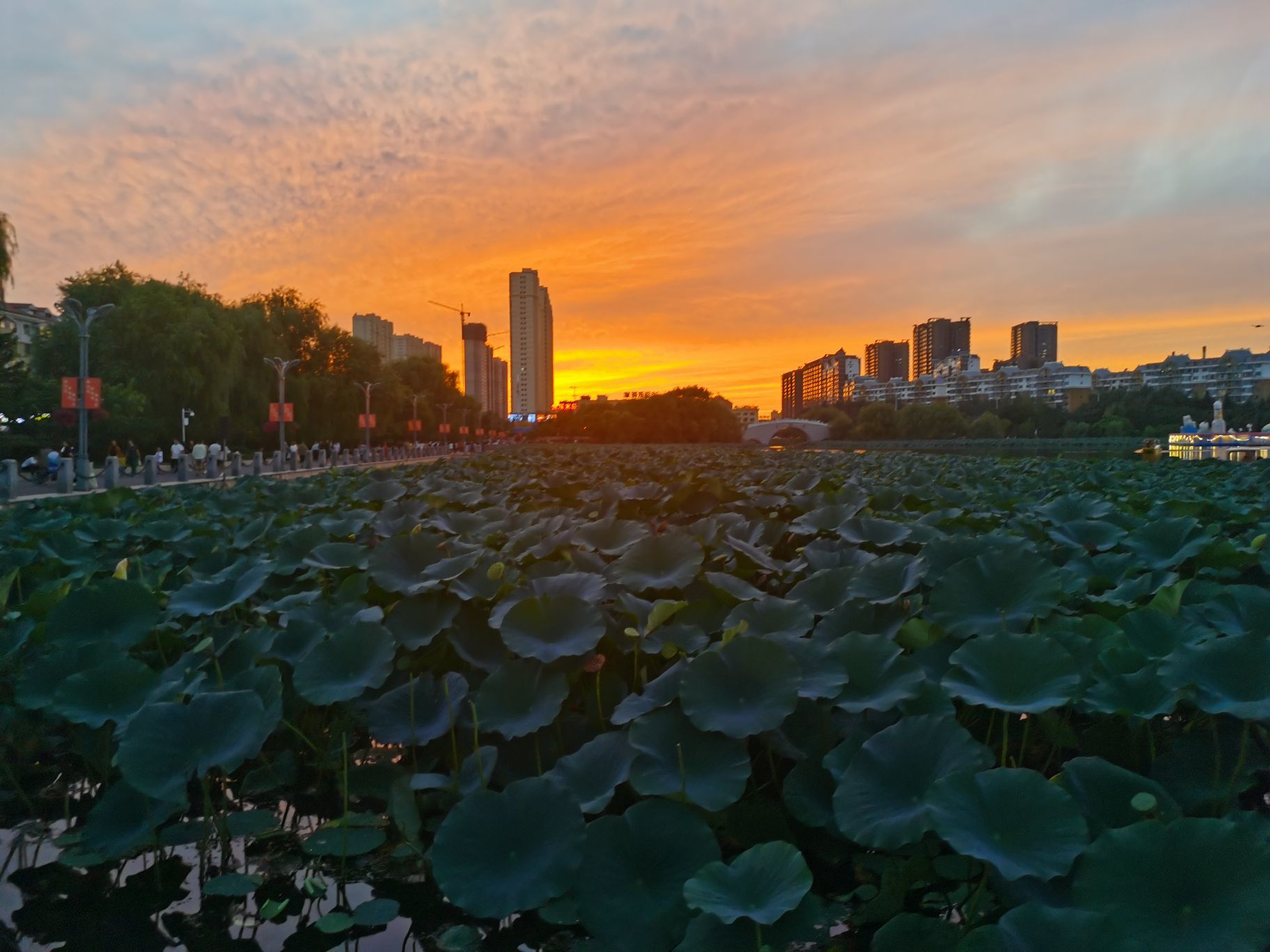 天王盖地虎虎044主播图片