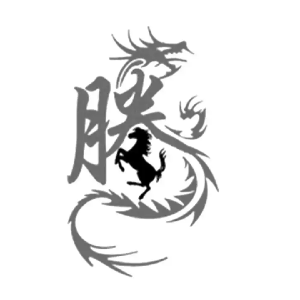 潇洒的腾腾海报