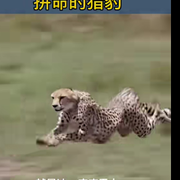 ✨开心💫