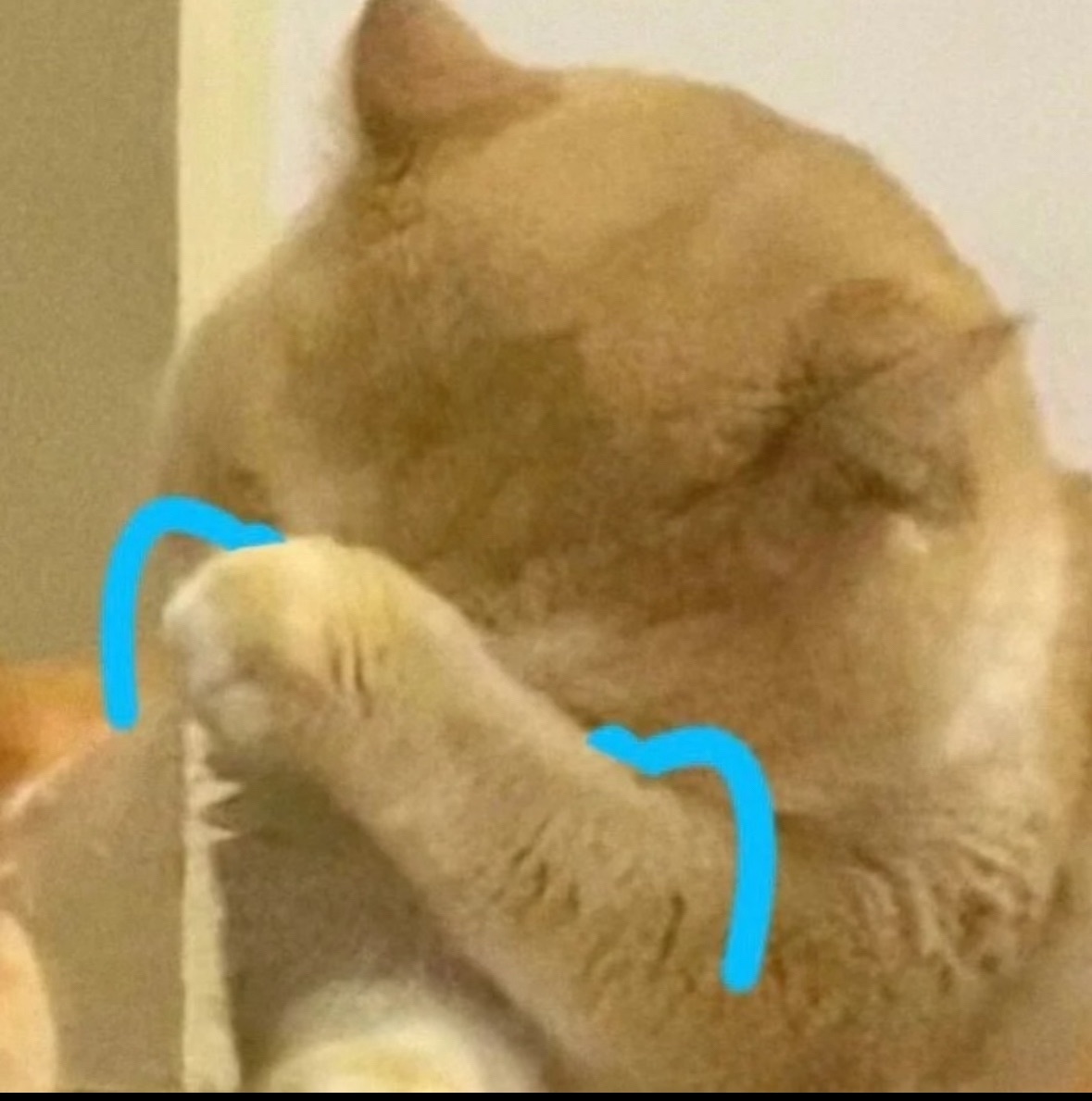 抱抱馨💌下午播的图片