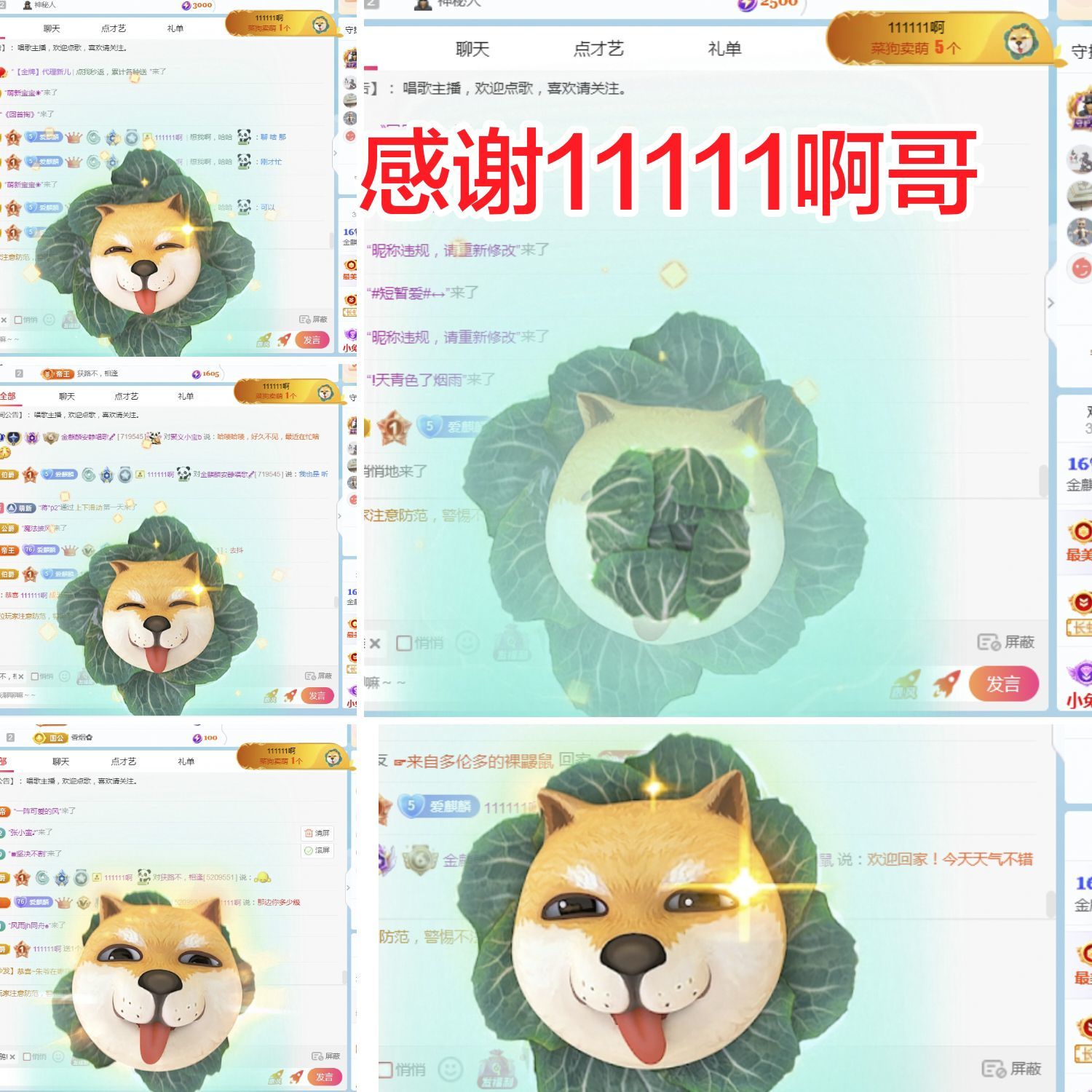 金麒麟安静唱歌🎤主播图片