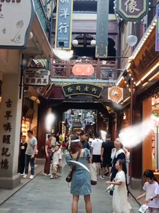 上海城隍庙/胜利老上