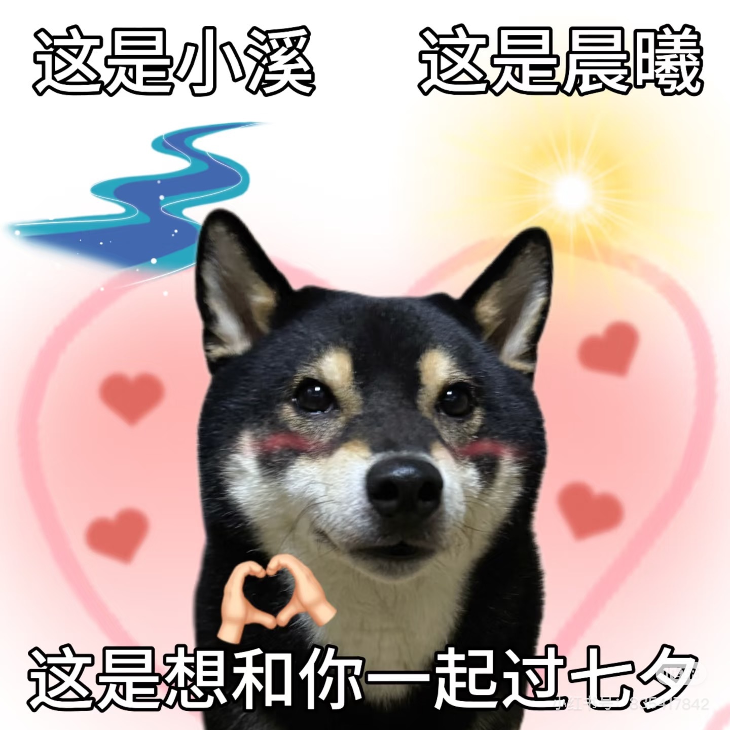 🎈汐不汐🌴的图片